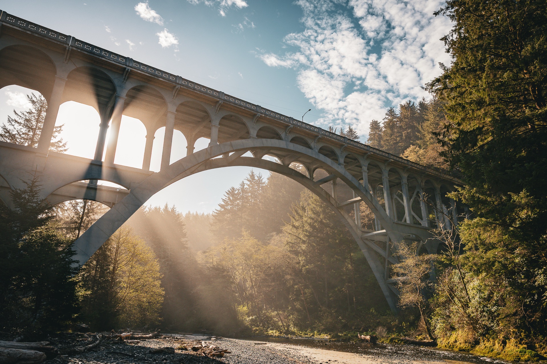 Sunlight breaking through trees beneath a tall concrete arch bridge