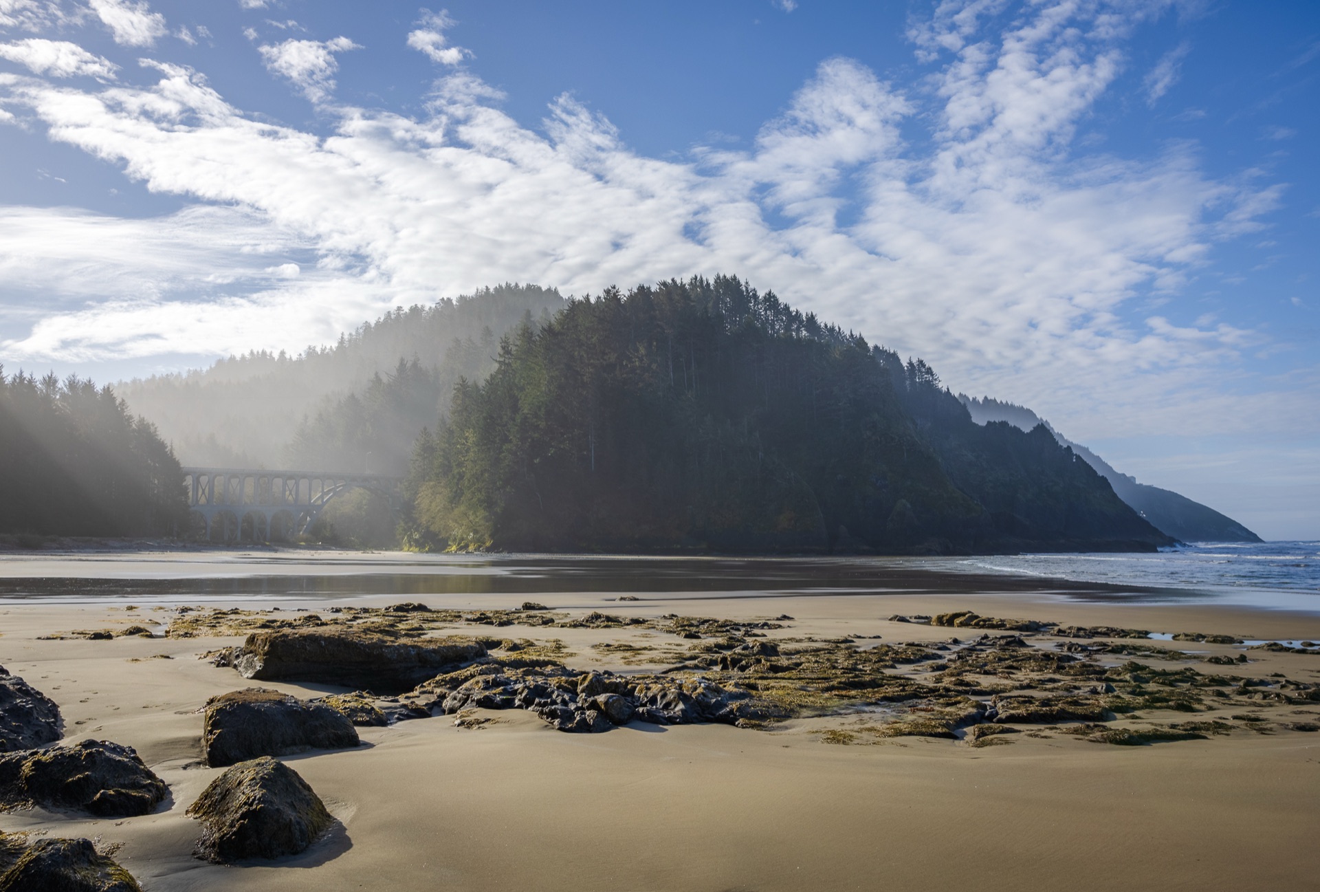 Morning mist over a forested headland above a quiet beach